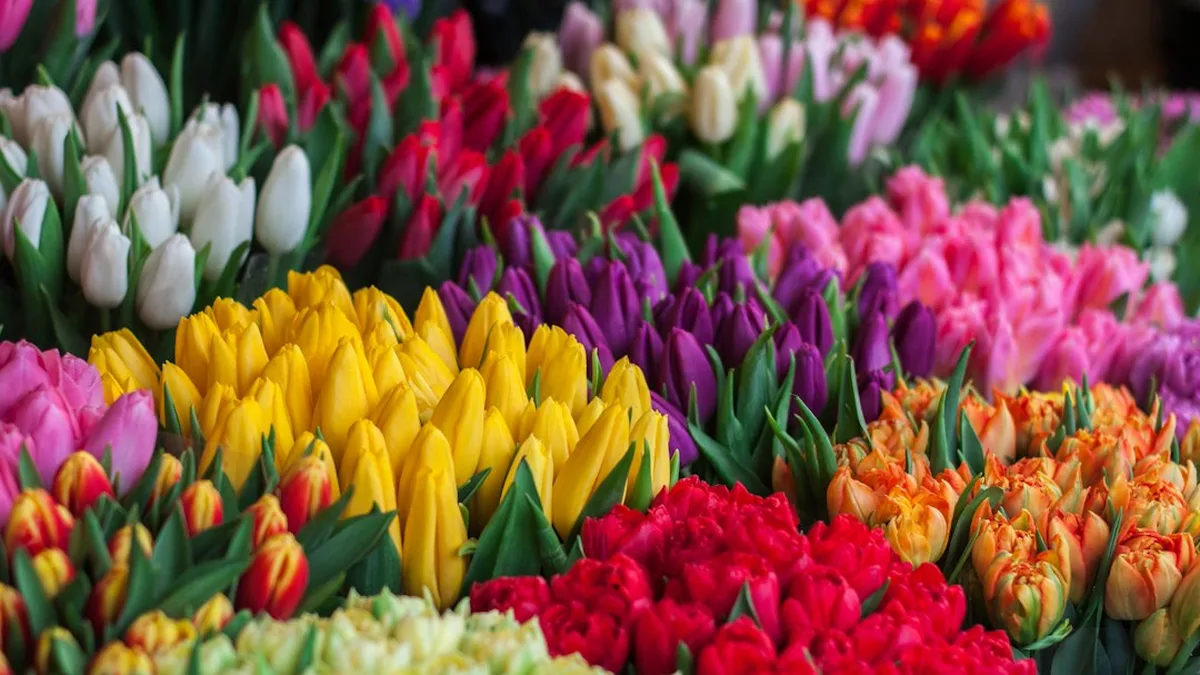 Calendrier des fleurs de saison