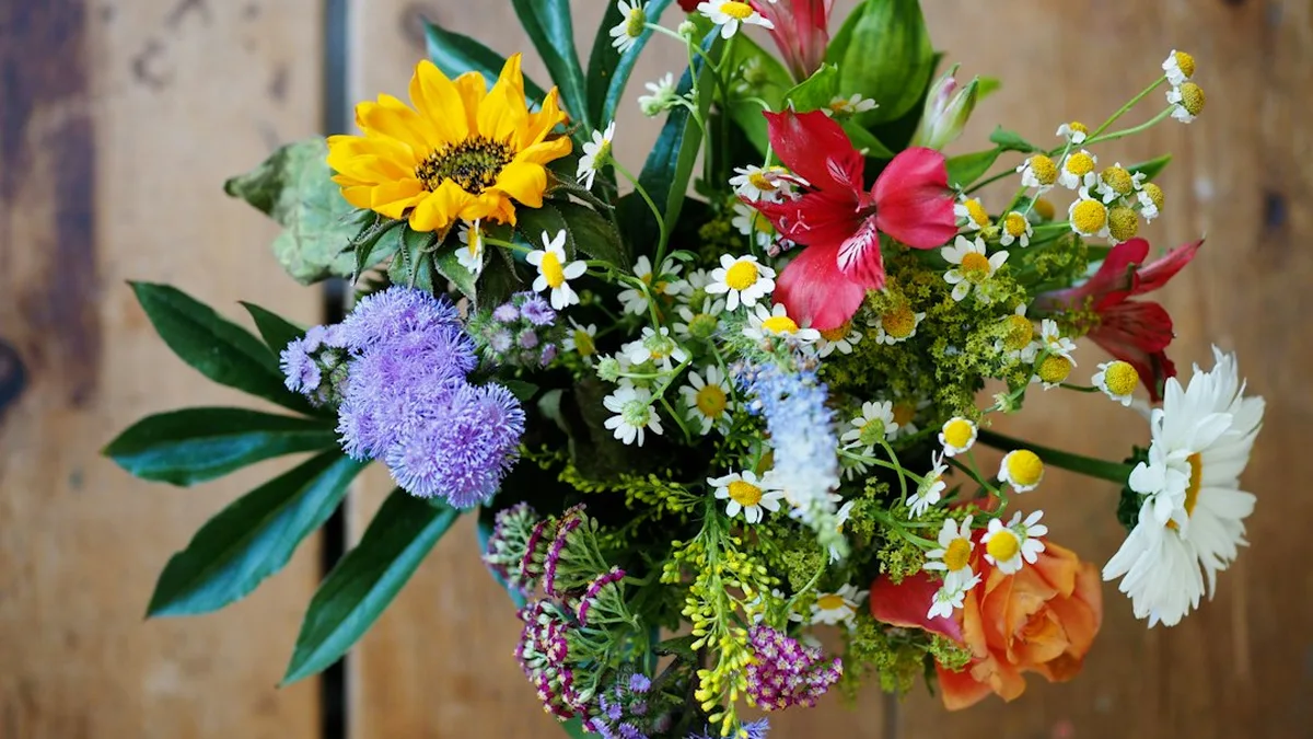 Fleurs coupées de saison