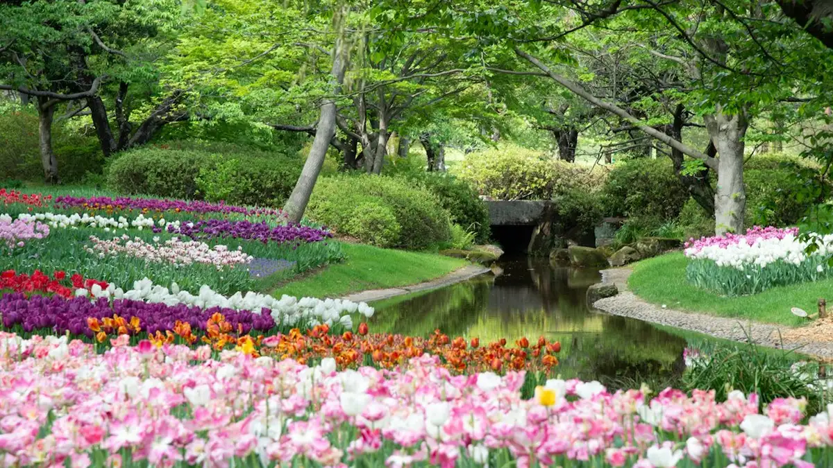 Fleurs du mois de mars
