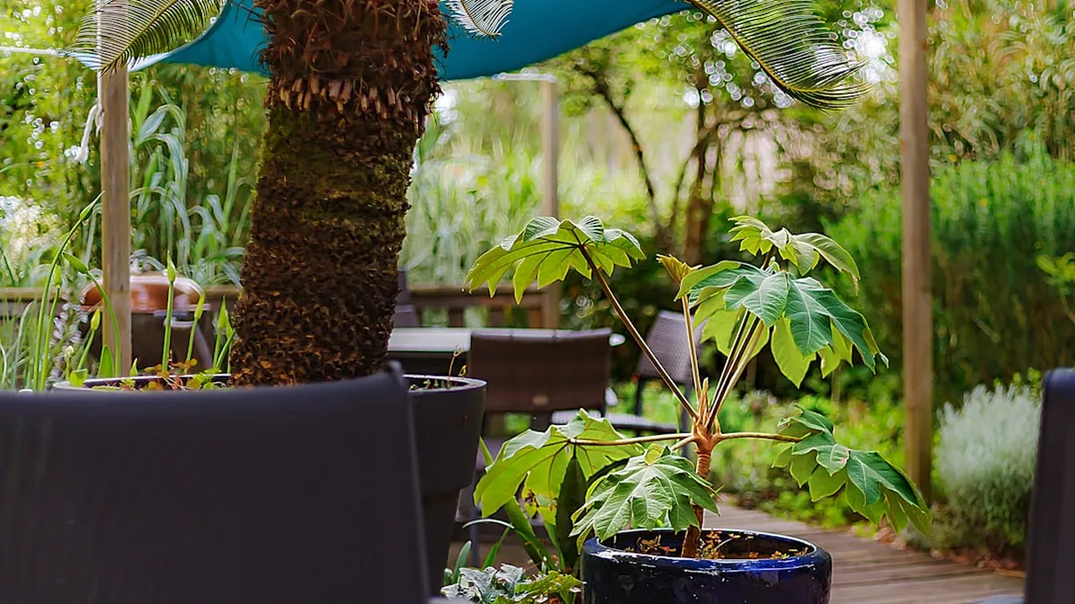 Aménager sa terrasse pour la rendre plus accueillante